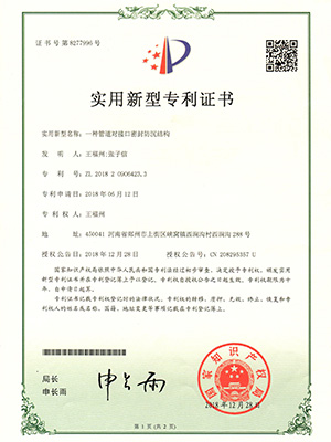 本实用新型专利证书涉及一种管道至界面的密封防渗结构