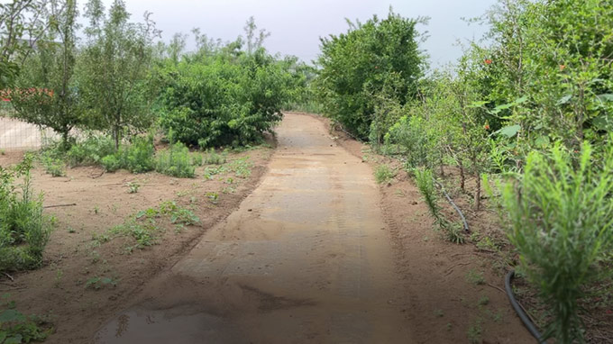 道路建设